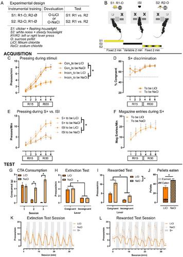 Stimulus control of habits: Evidence for both stimulus specificity and devaluation insensitivity in a dual-response task