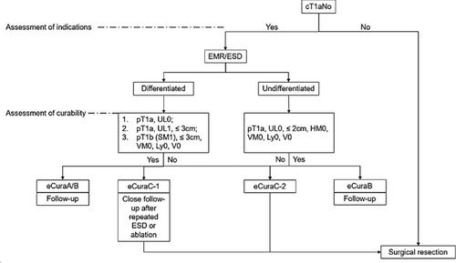 The Chinese Society of Clinical Oncology (CSCO): Clinical guidelines for the diagnosis and treatment of gastric cancer, 2023