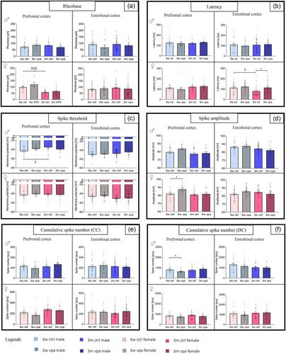 Valproate treatment induces age- and sex-dependent neuronal activity changes according to a patch clamp study