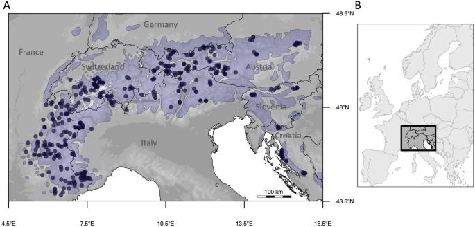 Projection of current and future distribution of adaptive genetic units in an alpine ungulate