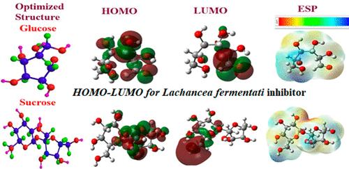 Investigation of Corrosion Inhibition of Mild Steel in 0.5 M H2SO4 with Lachancea fermentati Inhibitor Extracted from Rotten Grapefruits (Vitis vinifera): Adsorption, Thermodynamic, Electrochemical, and Quantum Chemical Studies