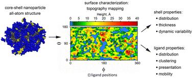 Effect of ligand and shell densities on the surface structure of core–shell nanoparticles self-assembled from function–spacer–lipid constructs