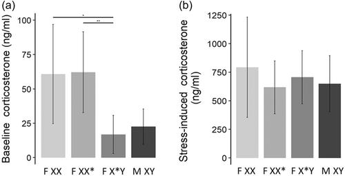 Hormone profiles of the African pygmy mouse Mus minutoides, a species with XY female sex reversal