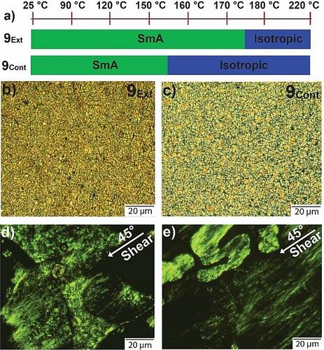 Molecular Actuation of a Bistable Liquid-Crystalline [c2]Daisy Chain Rotaxane