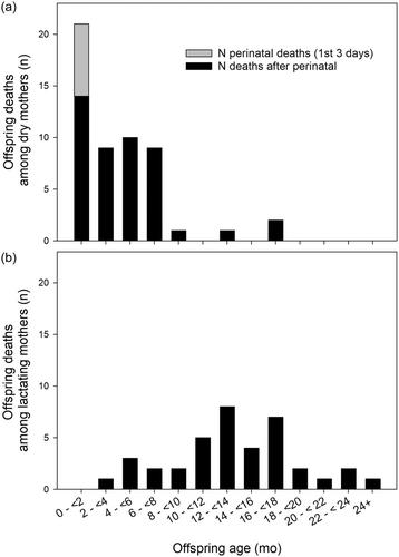 Maternal care in wild toque macaques (Macaca sinica) involves prolonged lactation and interbirth intervals as adaptations to reduce maternal depletion and infant mortality in harsh environments