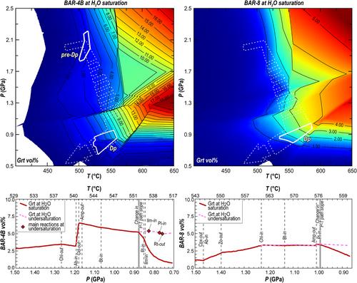 Assessing the importance of H2O content in the tectono-metamorphic evolution of shear zones: A case study from the Dora-Maira Massif (Western Alps)