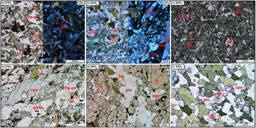 Redistribution of heat-producing elements during melting of Archean crust