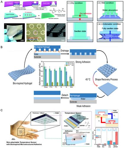 From Adhesion to Detachment: Strategies to Design Tissue-Adhesive Hydrogels