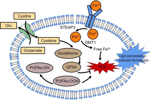 A Brief Review on Manipulation of Essential Metal Ions as Nanomedicine for Cancer Therapy