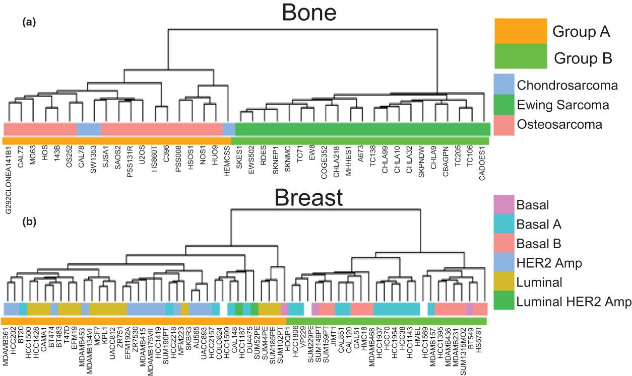 Metastatic potentials classified with hypoxia-inducible factor 1 downstream genes in pan-cancer cell lines