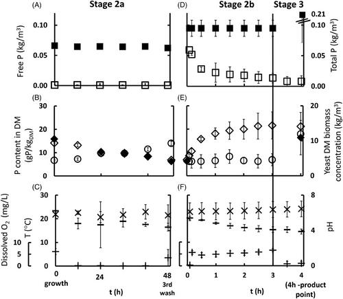 Biological recovery of phosphorus (BioP-Rec) from wastewater streams using brewer's yeast on pilot-scale