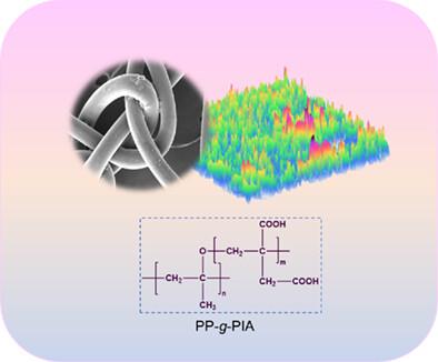 Functional surfaces by plasma grafting of itaconic acid onto polypropylene mesh: synthesis and structural investigations