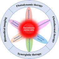Recent advances in red-emissive carbon dots and their biomedical applications