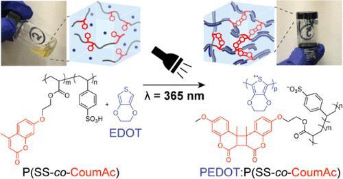 One Pot Photomediated Formation of Electrically Conductive Hydrogels