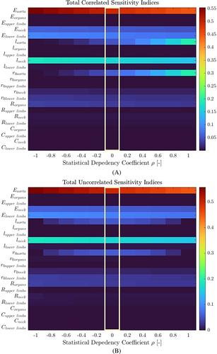 Efficient sensitivity analysis for biomechanical models with correlated inputs