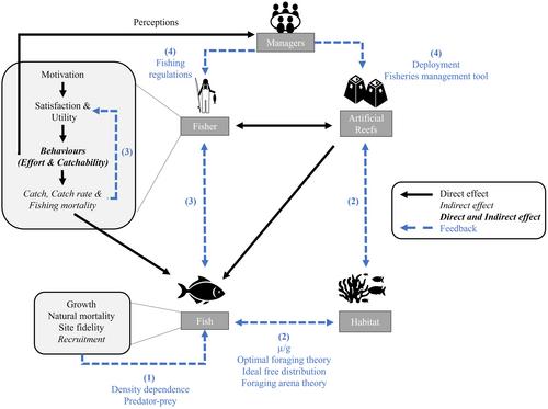 Global synthesis of effects and feedbacks from artificial reefs on socioecological systems in recreational fisheries