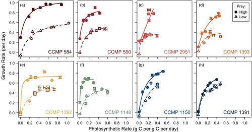 Environment-dependent metabolic investments in the mixotrophic chrysophyte Ochromonas