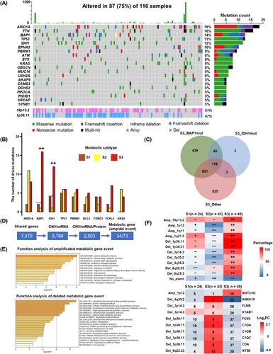 Multiomics analysis reveals metabolic subtypes and identifies diacylglycerol kinase α (DGKA) as a potential therapeutic target for intrahepatic cholangiocarcinoma