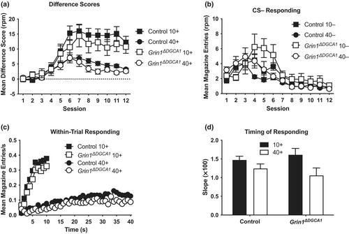 Knockout of NMDARs in CA1 and dentate gyrus fails to impair temporal control of conditioned behavior in mice