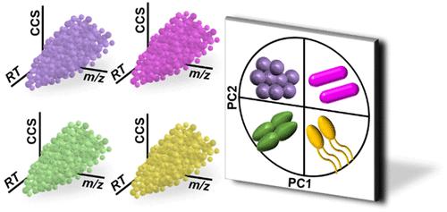 HILIC-IM-MS for Simultaneous Lipid and Metabolite Profiling of Bacteria