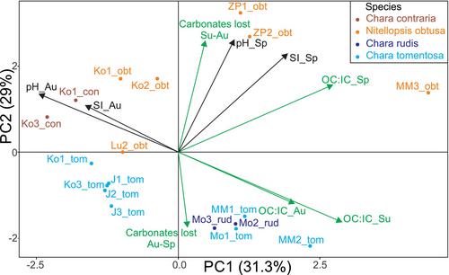 Recycling and deposition of inorganic carbon from calcium carbonate encrustations of charophytes