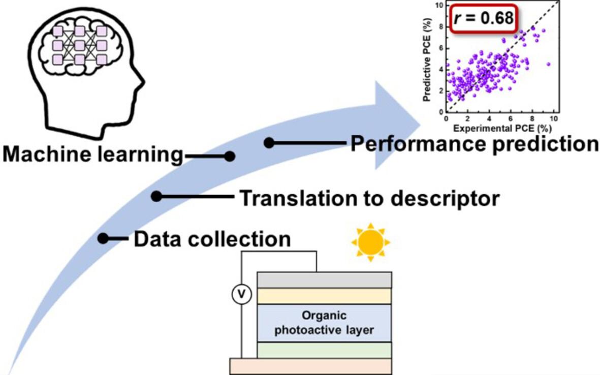 Molecular structural descriptor-assisted machine learning for organic photovoltaics with perylenediimide acceptors