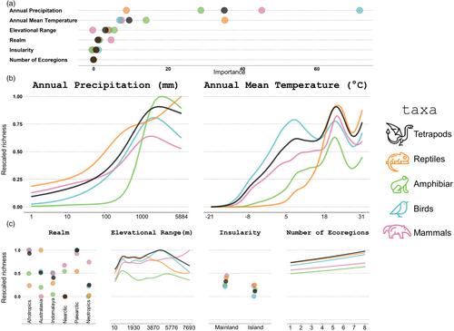 Diversity gradients of terrestrial vertebrates – substantial variations about a common theme