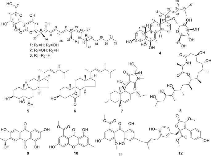 Discovery of antifungal secondary metabolites from an intestinal fungus Fusarium sp.