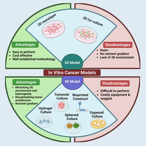 A comprehensive review of 3D cancer models for drug screening and translational research