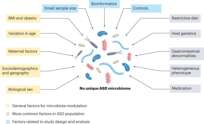 Autism spectrum disorders and the gastrointestinal tract: insights into mechanisms and clinical relevance