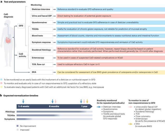 Guidelines for best practices in monitoring established coeliac disease in adult patients