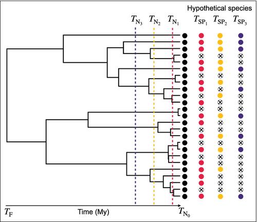 No branch left behind: tracking terrestrial biodiversity from a phylogenetic completeness perspective