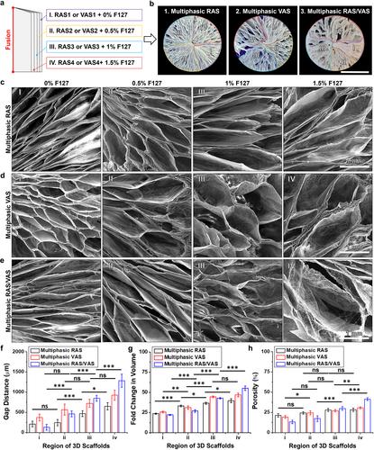 Transforming layered 2D mats into multiphasic 3D nanofiber scaffolds with tailored gradient features for tissue regeneration