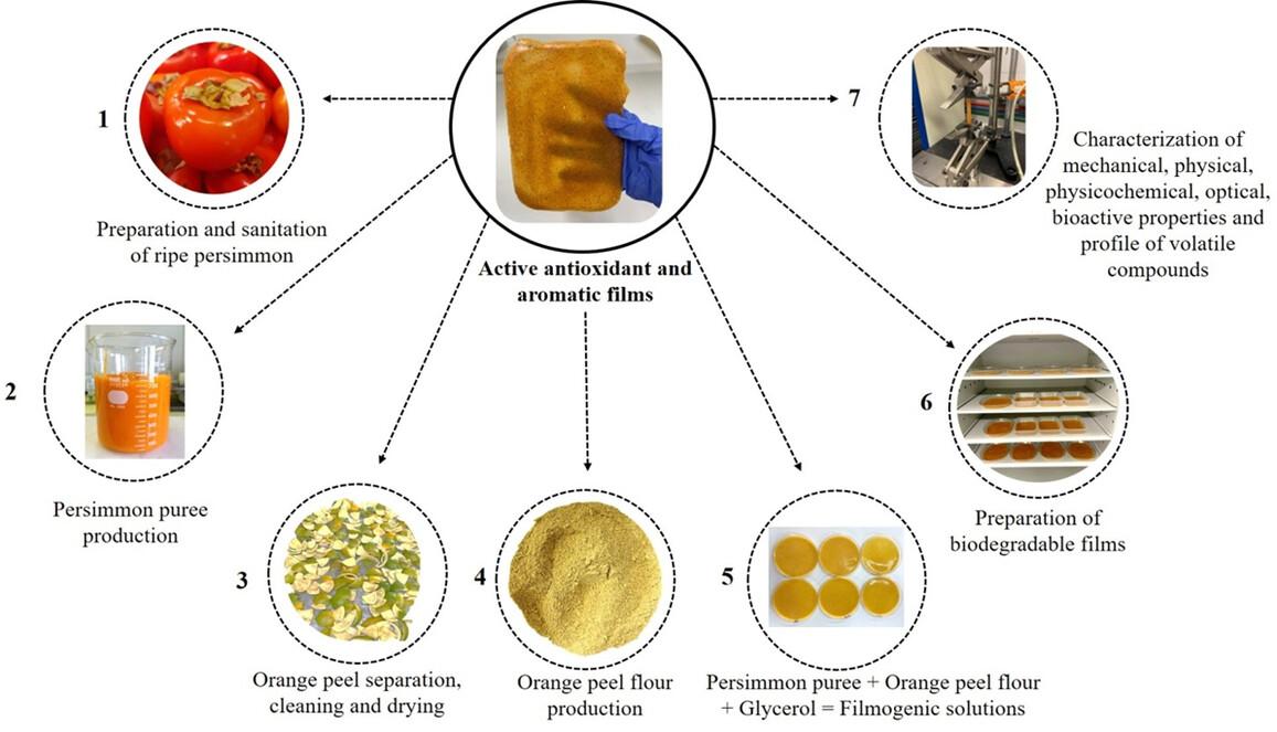 Active antioxidant and aromatic films blended with persimmon (Diospyros kaki L.) and orange peel flour (Citrus sinensis) as sustainable packaging