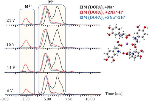 Mass spectrometry approaches to natural and synthetic melanin characterization