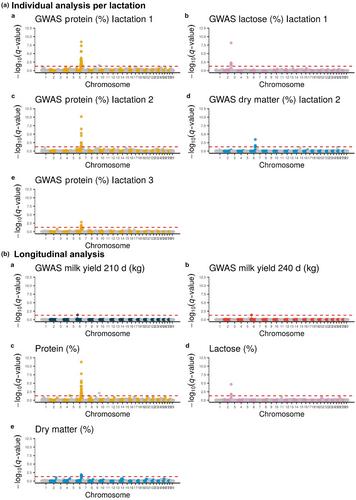 Single and longitudinal genome-wide association studies for dairy traits available in goats with three recorded lactations