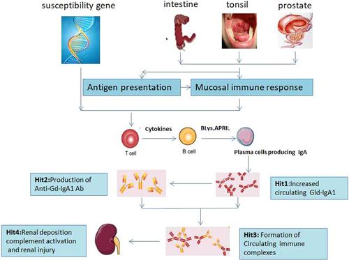 Advances in the treatment of IgA nephropathy with biological agents