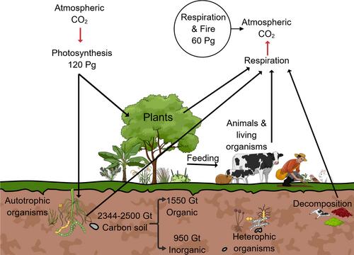 Harnessing the power of microbes for sustainable development: Climate change mitigation and sustainable food security