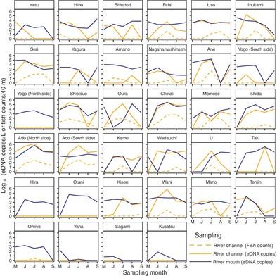 Identifying migration hotspots of the potamodromous fish Opsariichthys uncirostris in Lake Biwa tributaries using environmental DNA and visual counts during its reproductive season