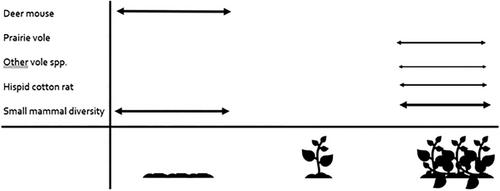 Small mammal associations with habitat composition, configuration, and management in tallgrass prairies: a review