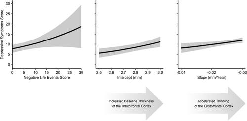 Interplay of early negative life events, development of orbitofrontal cortical thickness and depression in young adulthood