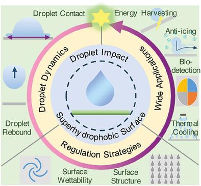 Understanding and Utilizing Droplet Impact on Superhydrophobic Surfaces: Phenomena, Mechanisms, Regulations, Applications, and Beyond