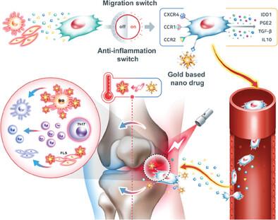 Inflammation-Targeting Mesenchymal Stem Cells Combined with Photothermal Treatment Attenuate Severe Joint Inflammation