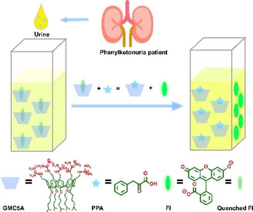 Non-invasive and Sensitive Fluorescence Detection of Phenylpyruvic Acid via a Guanidinomethyl-modified Calixarene