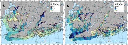 Persistent hot spots of CO2 and CH4 in coastal nearshore environments