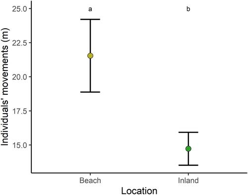 Life on the beach: Movements and growth of a coastal amphibian vary with distance to the sea