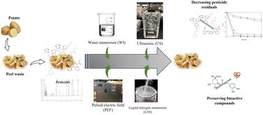 Converting potato peel waste into bioactive extracts: reduction of pesticides by traditional and novel pretreatment technologies