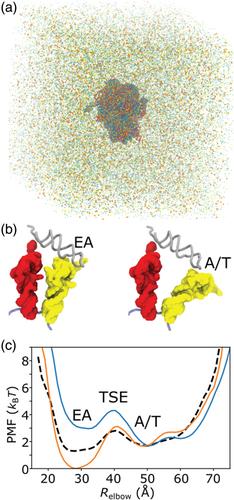 The energy landscape of the ribosome