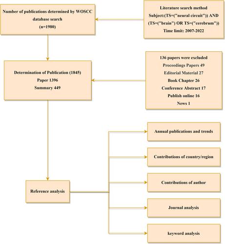 Bibliometric analysis of hot literature on neural circuit research