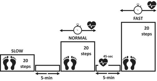 Exploring the utility of bedside tests for predicting cardiorespiratory fitness in older adults